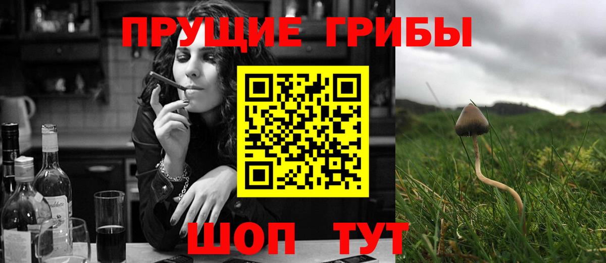 Скопин  Псилоцибиновые грибы Magic Shrooms  Вход с VPN  Галлюциногенные грибы Psilocybine cubensis 